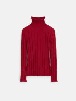 Ellie Ribbed Turtleneck In Cotton Cashmere