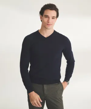 Fancy Cashmere Long Sleeve V-Neck